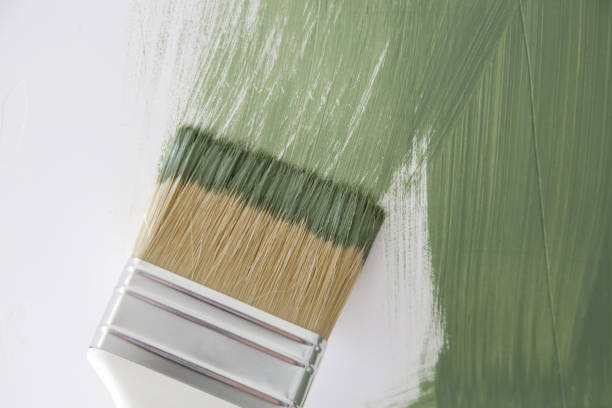 Harbor Isle, NY Mold Removal Company