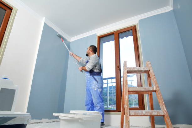 Best Attic Mold Removal  in Harbor Isle, NY
