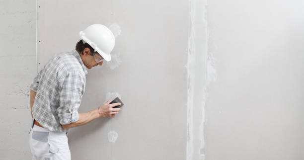 Best Air Quality Testing for Mold Spores  in Harbor Isle, NY