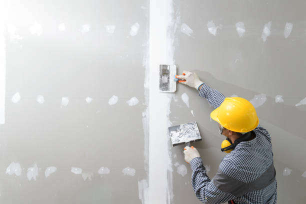 Best Mold Removal for HVAC Installations  in Harbor Isle, NY