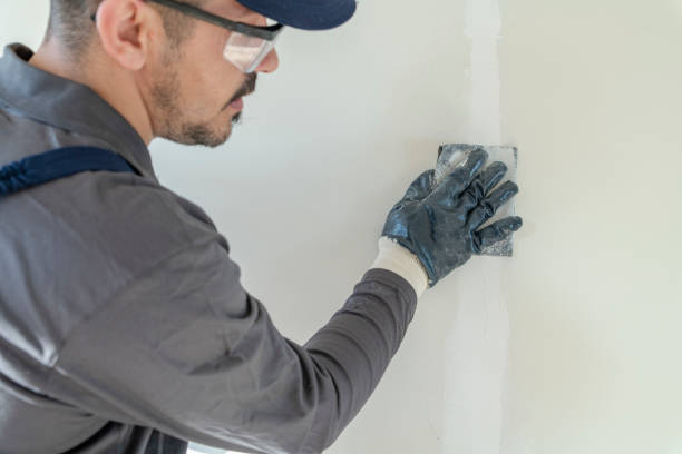 Best Black Mold Removal  in Harbor Isle, NY