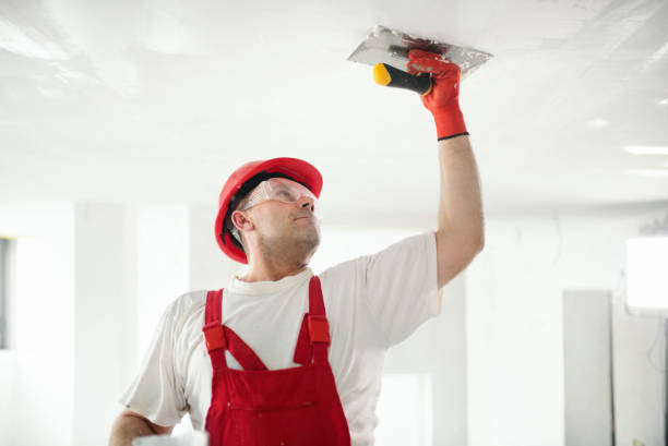 Best Comprehensive Air Testing for Mold Contaminants  in Harbor Isle, NY